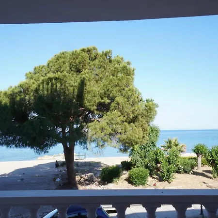 Seafront Spirit Zante